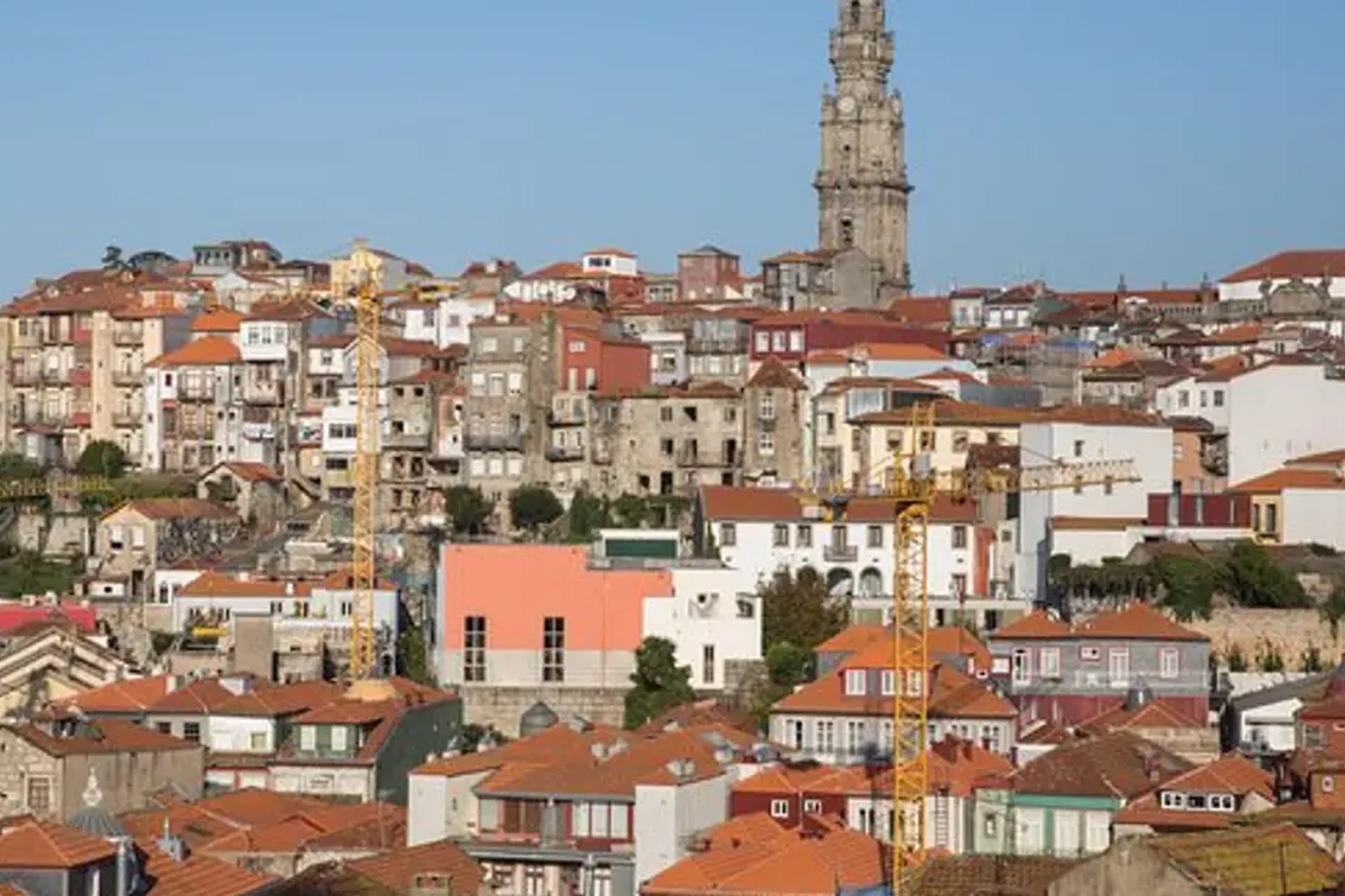 Porto: City Tour with Six Bridges Cruise and Wine Tasting